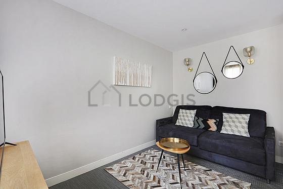 Magnifique séjour très calme et lumineux d'un appartement à Paris