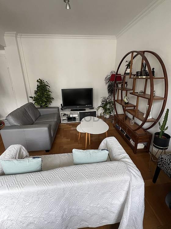Séjour équipé de télé, 1 fauteuil(s), 1 chaise(s)