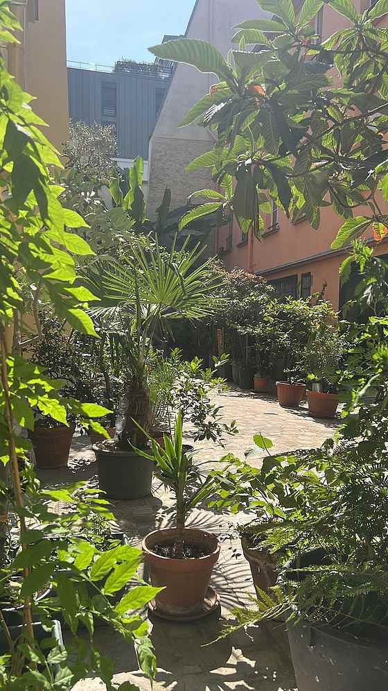 Appartement Paris 11° - 