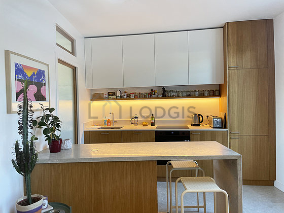 Kitchen equipped with dryer, refrigerator, extractor hood, crockery