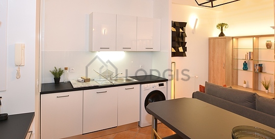 Kitchen equipped with washing machine, refrigerator, extractor hood, crockery