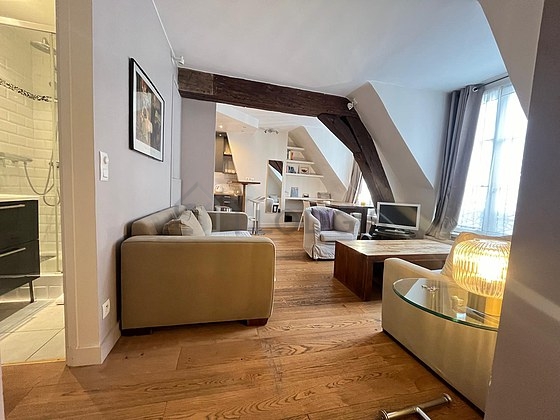 Appartamento Parigi 3° - 