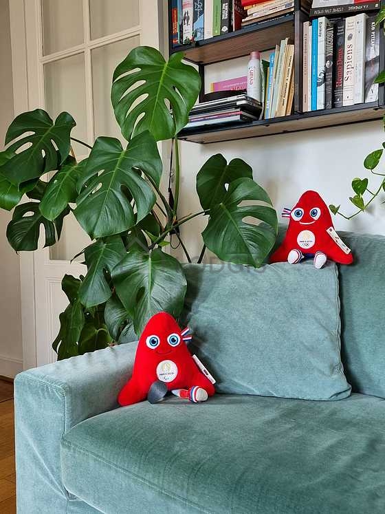Appartement Paris 19° - 