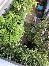 duplex Parigi 13° - Terrazzo