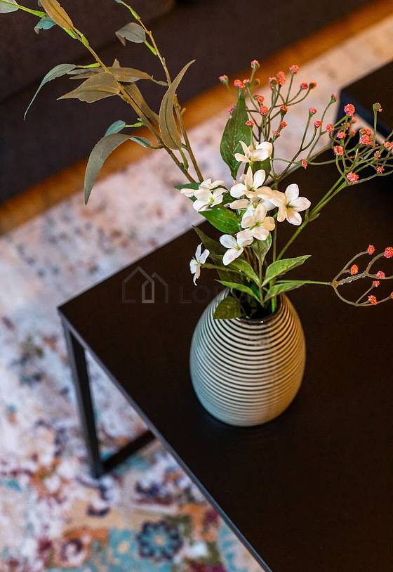 Apartamento París 19° - 