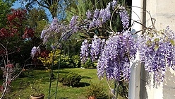 casa Haut de seine Nord - Jardín