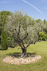Duplex Nord-Ouest d'Aix-en-Pce - Garten