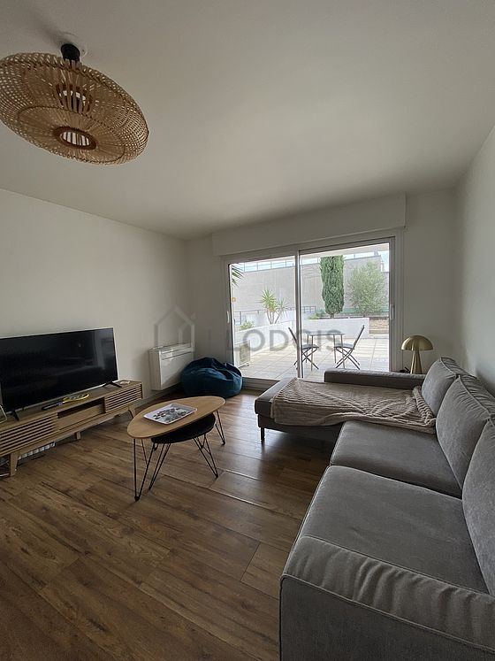 Living room with windows