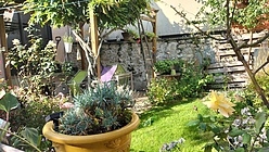 Дом Hauts de seine Sud - Огород