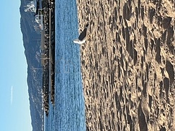 Квартира Nice