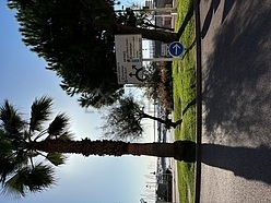 Квартира Nice