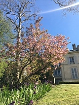 Apartment Yvelines - Yard