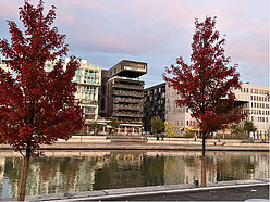 Apartamento Lyon 2°