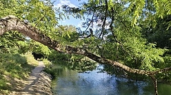 Apartamento Val de marne - Terraza