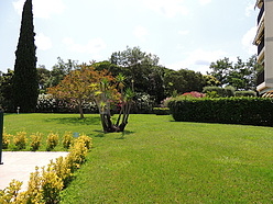 Wohnung Cannes - Garten