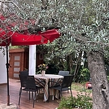 Apartamento Toulouse Centre - Terraza