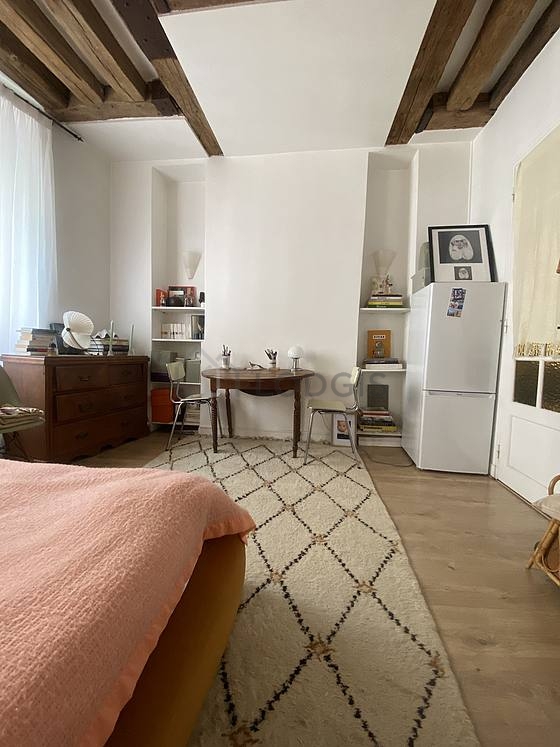 Beautiful, quiet and bright sitting room of an apartment in Paris