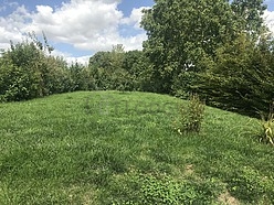 Maison individuelle Amiens - Jardin