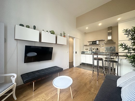 Wohnung Paris 8° - Wohnzimmer