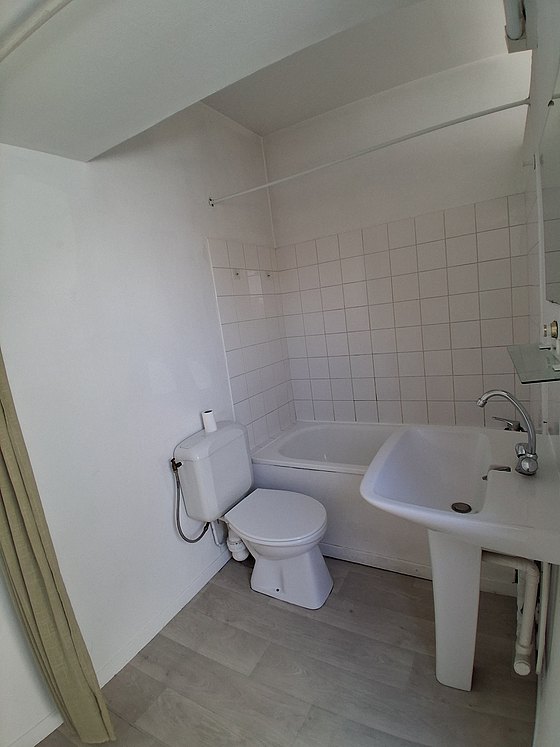 Bathroom with wooden floor