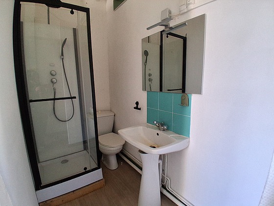 Bathroom with wooden floor