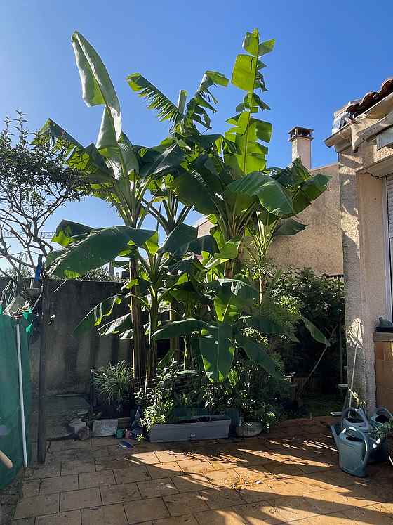 Maison individuelle Nord-Est de Bordeaux - 