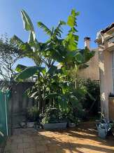 Maison individuelle 4 chambres Lormont