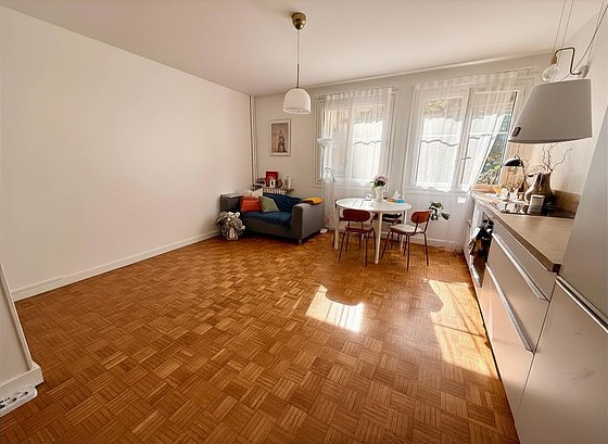 Apartamento Paris 15° - 