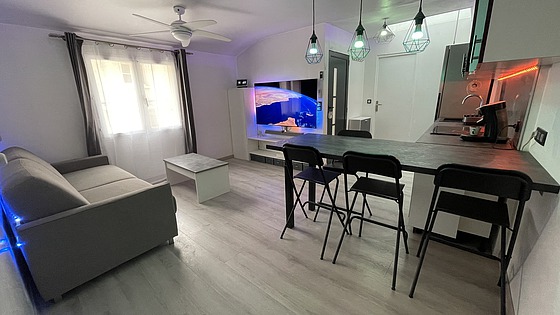 Appartement Paris 7° - Séjour