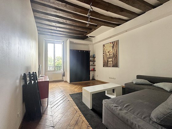 Beautiful, quiet and bright sitting room of an apartment in Paris