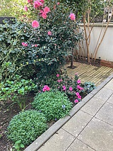 Apartamento París 17° - Terraza