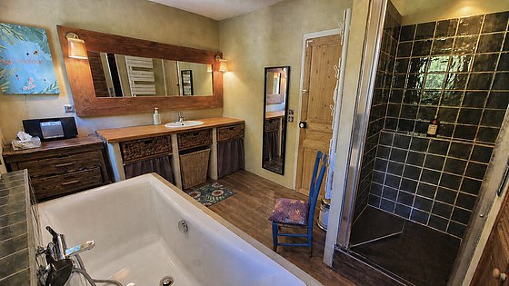 Bathroom with wooden floor