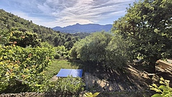 casa Sud-Est d'Aix-en-Pce - Jardín