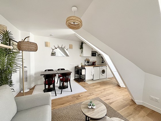 Appartement Paris 1° - 