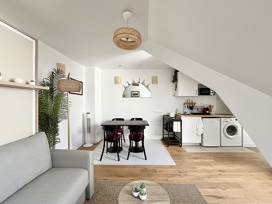 Appartement Paris 1° - 