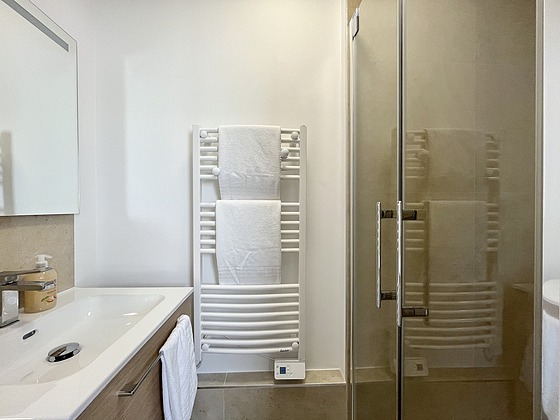 Appartement Paris 1° - 