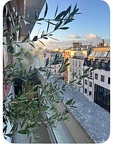 Apartment Paris 14° - Terrace