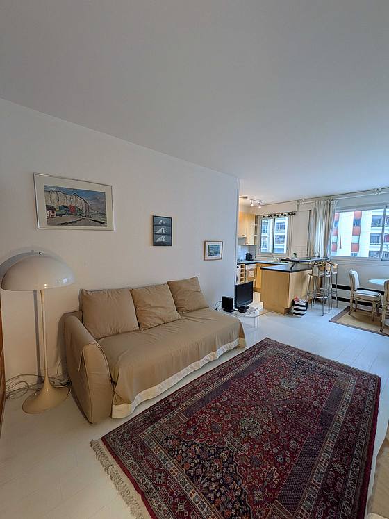 Apartment Paris 15° - 
