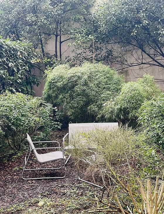 jardin