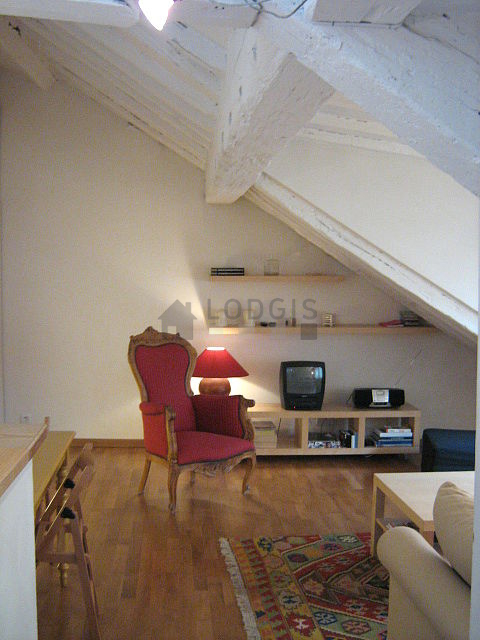 Séjour calme équipé de 1 canapé(s) lit(s) de 140cm, télé, chaine hifi, 1 fauteuil(s)