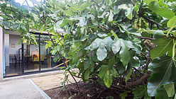 Appartement  - Terrasse