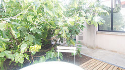 Appartement  - Terrasse