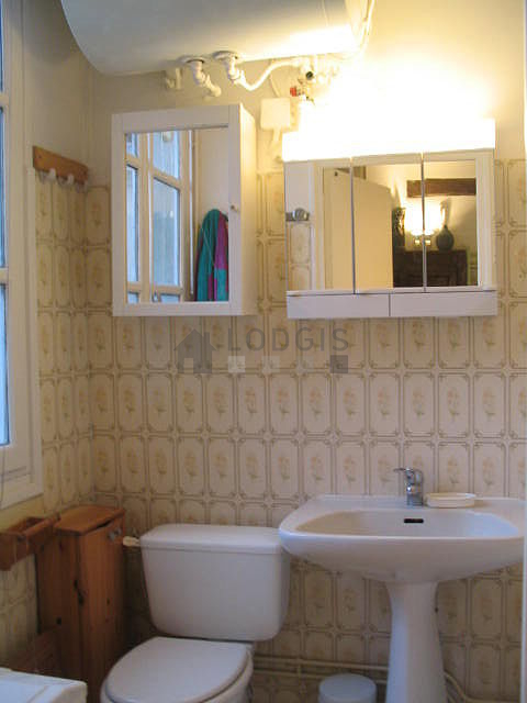 Bright bathroom with windows and with tile floor