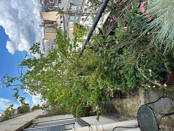 Terrasse exposée plein ouest et vue sur rue