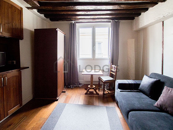 Living room furnished with 1 sofabed(s) of 140cm, tv, dvd player, 2 chair(s)