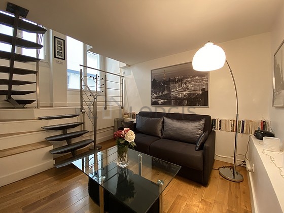 Great, very quiet sitting room of a duplex in Paris