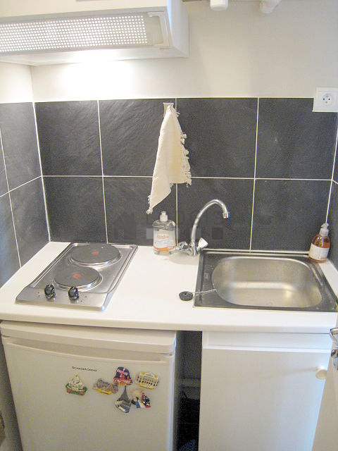 Kitchen equipped with hob, refrigerator, freezer, extractor hood
