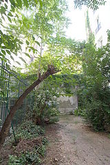 Apartamento París 16° - Jardín