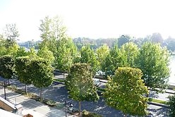 Appartamento Suresnes - Soggiorno